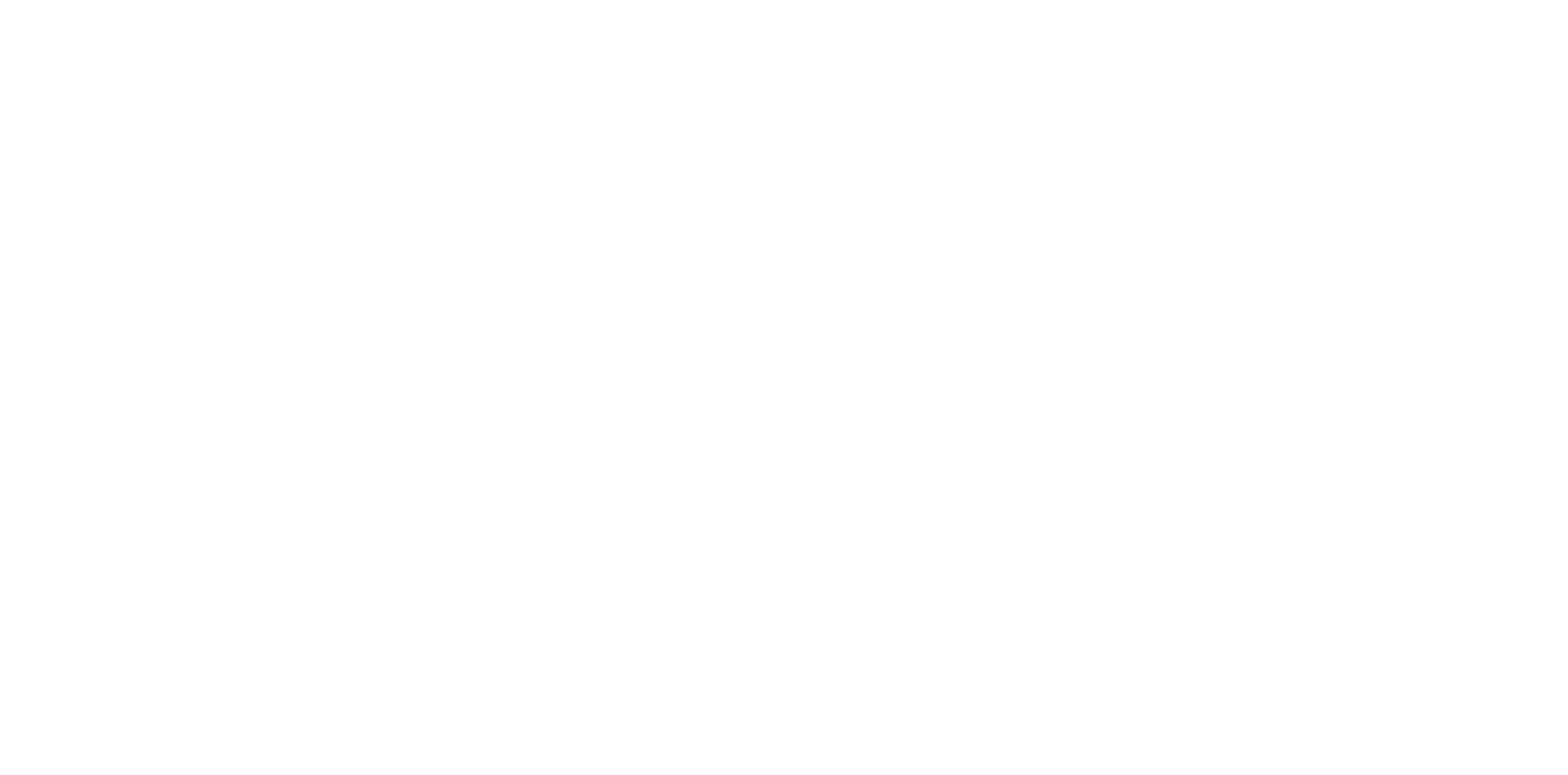 Asset 1